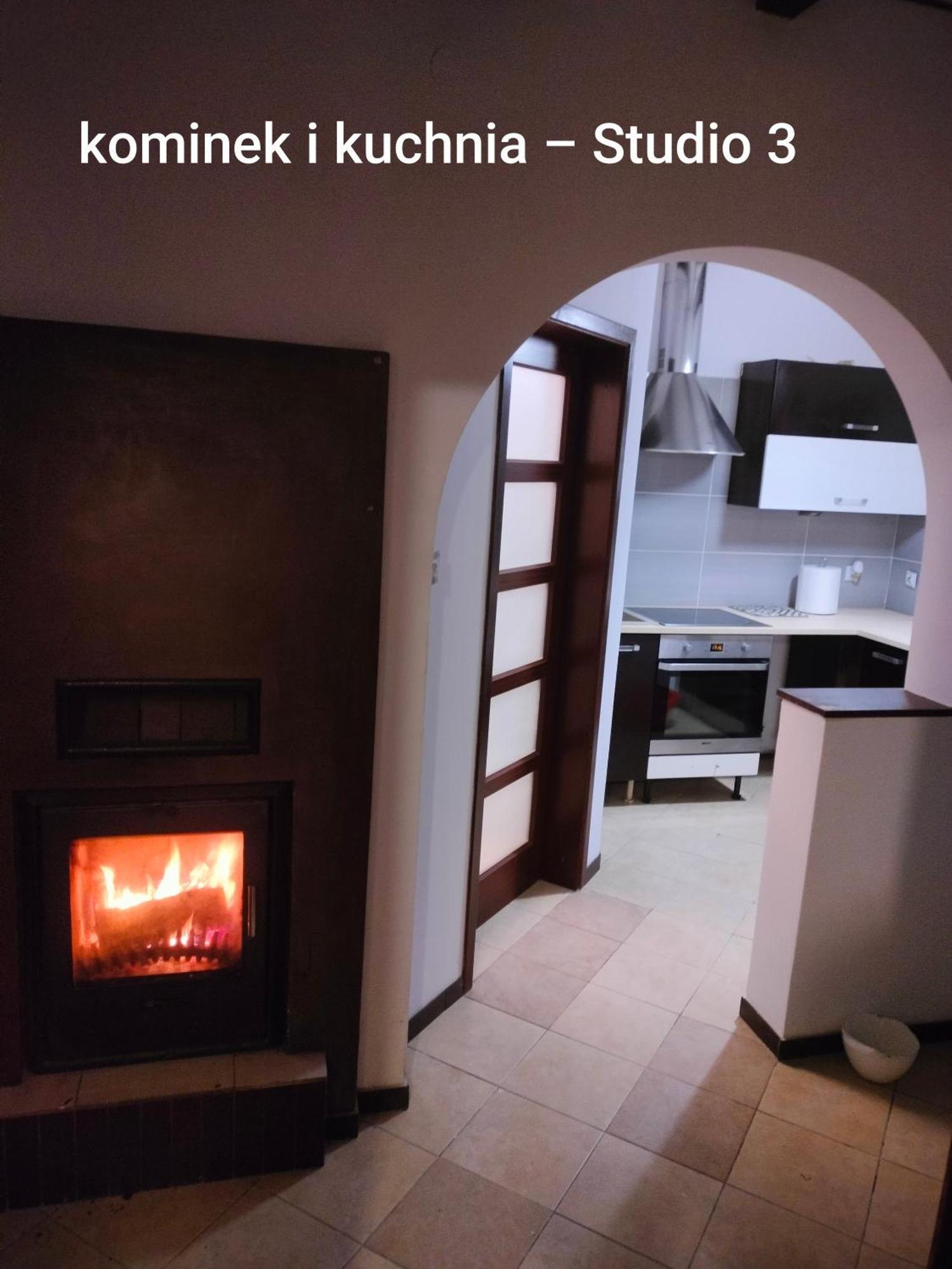 Urocze Studia W Lomiankach, 1- Z Sauna I Tarasem, 2- Z Kominkiem, 3- Ekonomiczne, 7Km Metro Mlociny Warszawa Łomianki Exterior foto